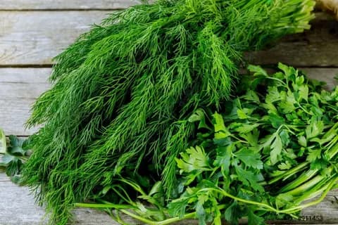 تصویر 2 از سبزی آش ماست آماده مصرف با طعم اصیل